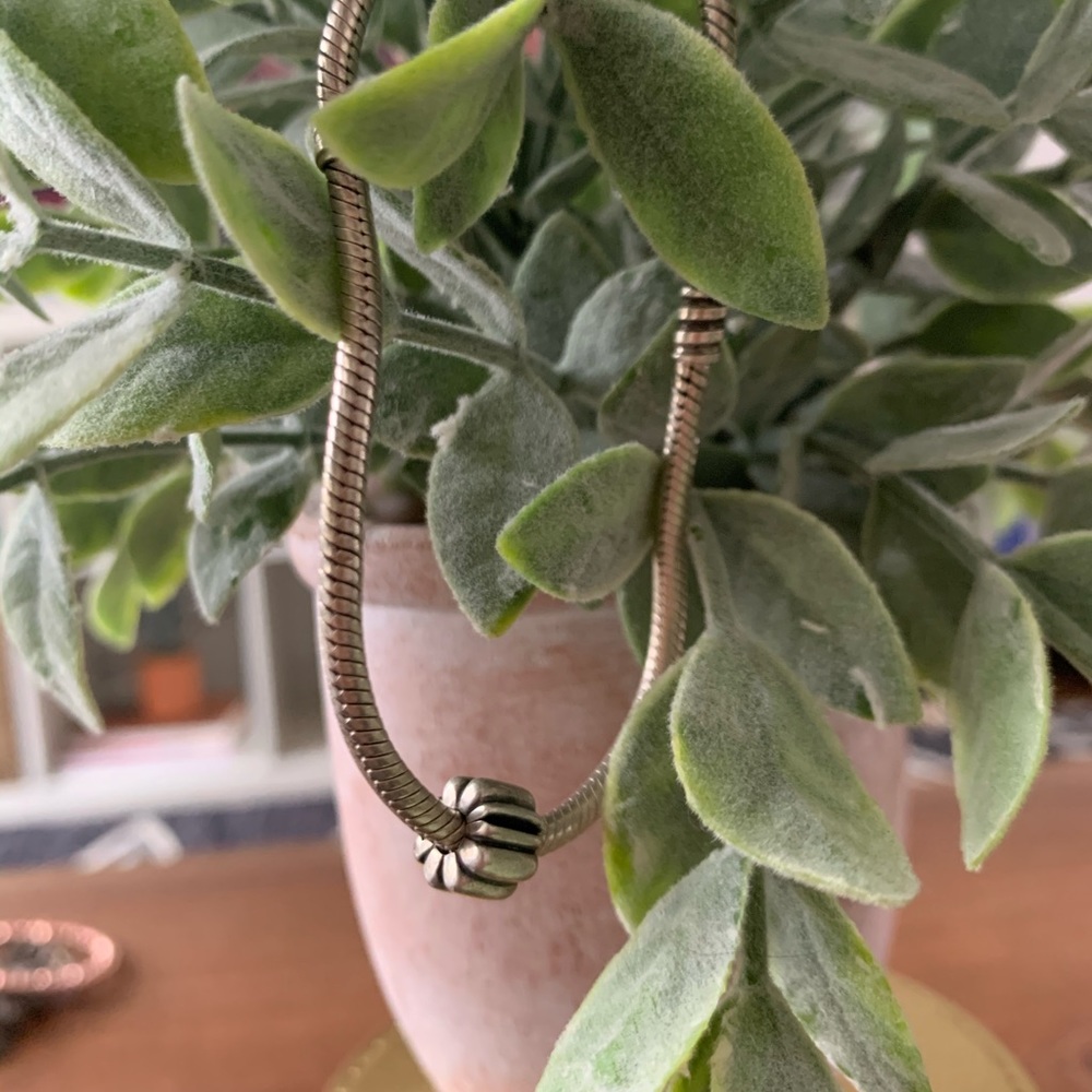 Clip pandora charm